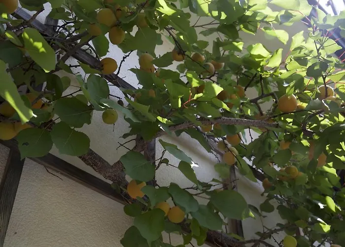 Gaestehaeuser Anni Ehrndorfer Appart hôtel Ried im Innkreis