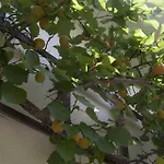 Gaestehaeuser Anni Ehrndorfer Apartahotel Ried im Innkreis