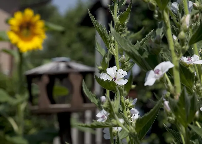 Aparthotel Anni Ehrndorfer Ried im Innkreis
