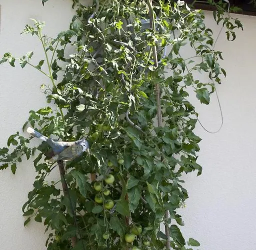 Aparthotel Anni Ehrndorfer 4*